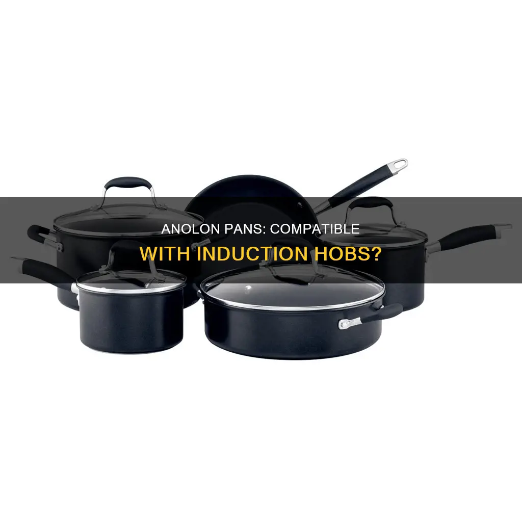 can you use anolon pans induction hob