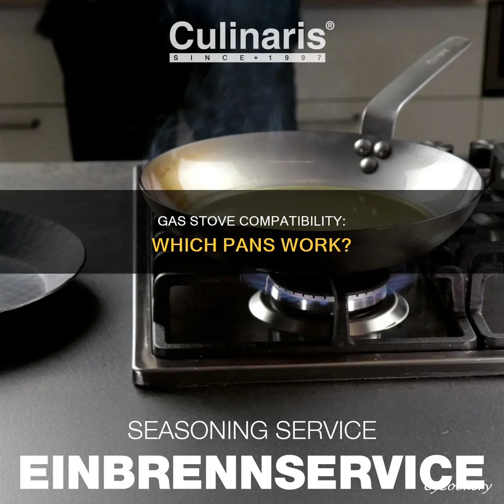 can you use any pan on a gas oven