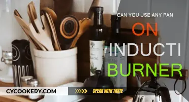 Induction Burners: Which Pans Work?