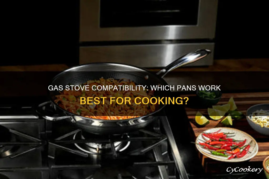 can you use any pans on a gas stove