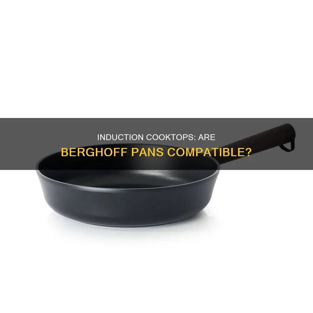 can you use berghoff pans on an induction cooktop
