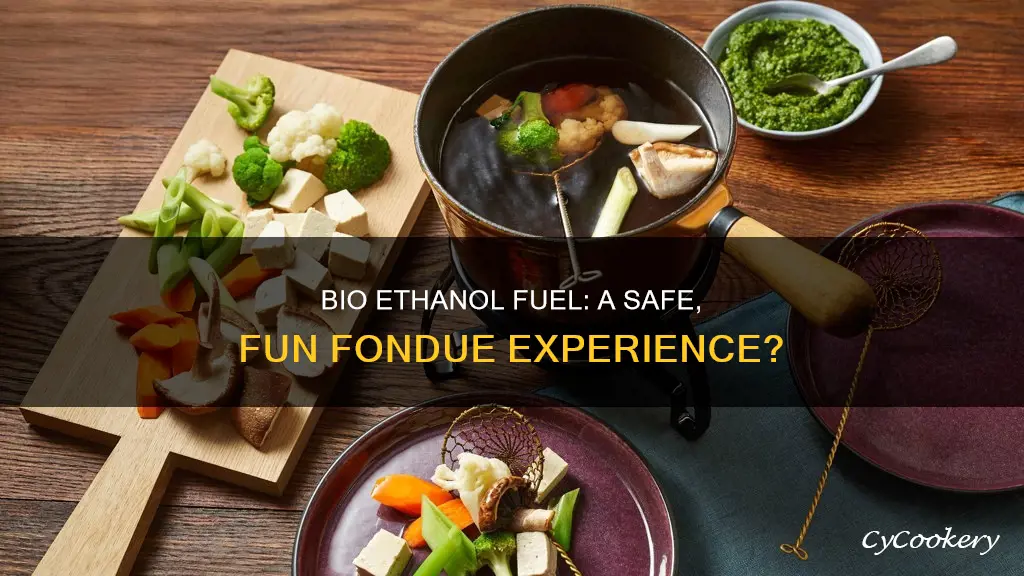 can you use bio ethanol fuel for fondue