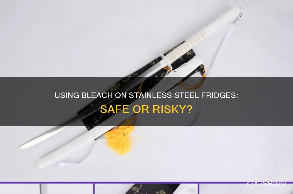 can you use bleach on a stainless steel refrigerator