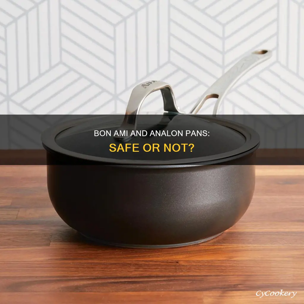 can you use bon ami in analon pans