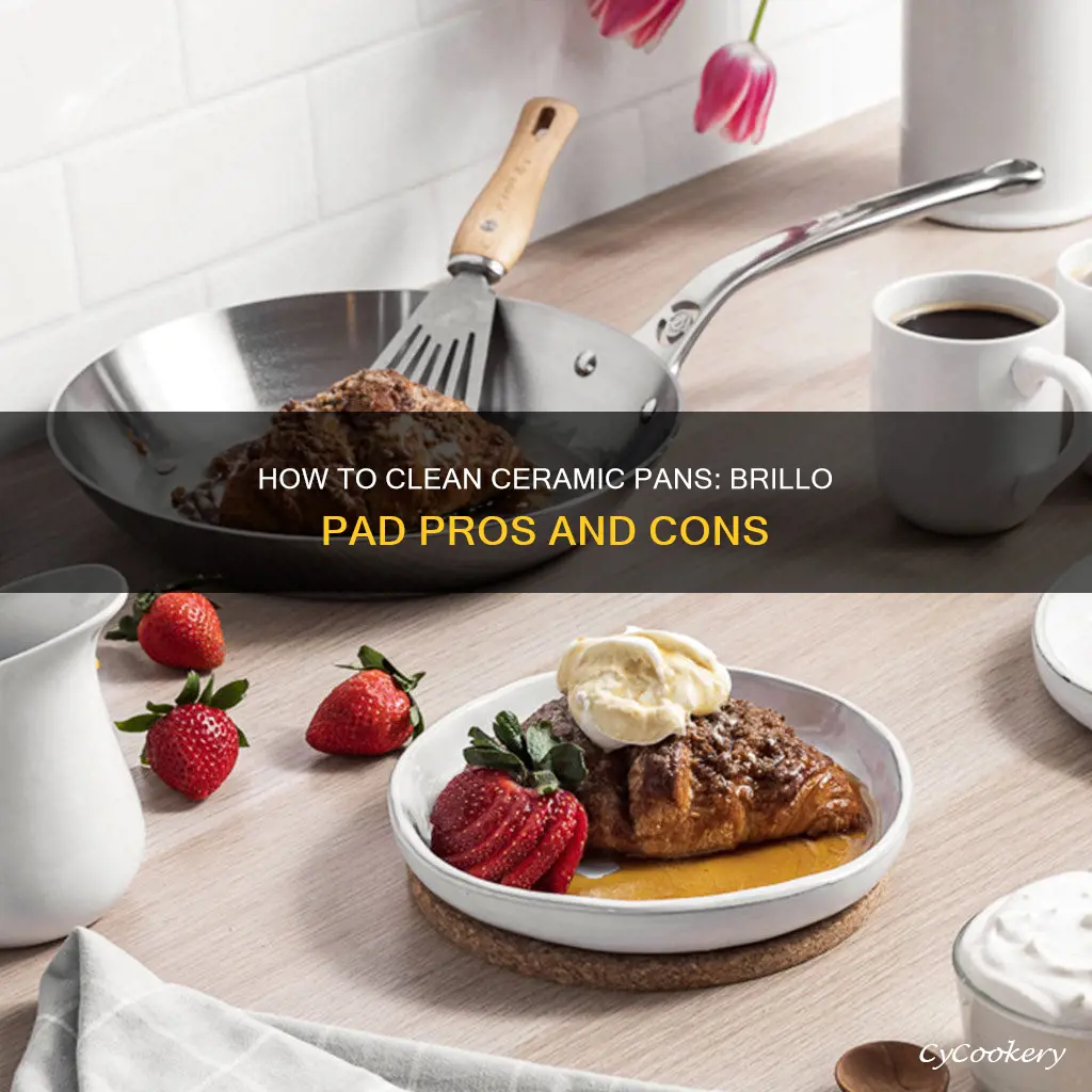 can you use brillo on ceramic pan