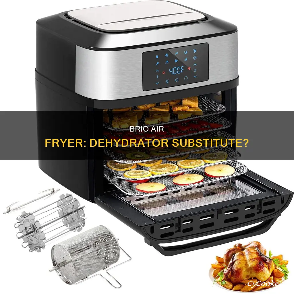 can you use brio air fryer as a dehydrator