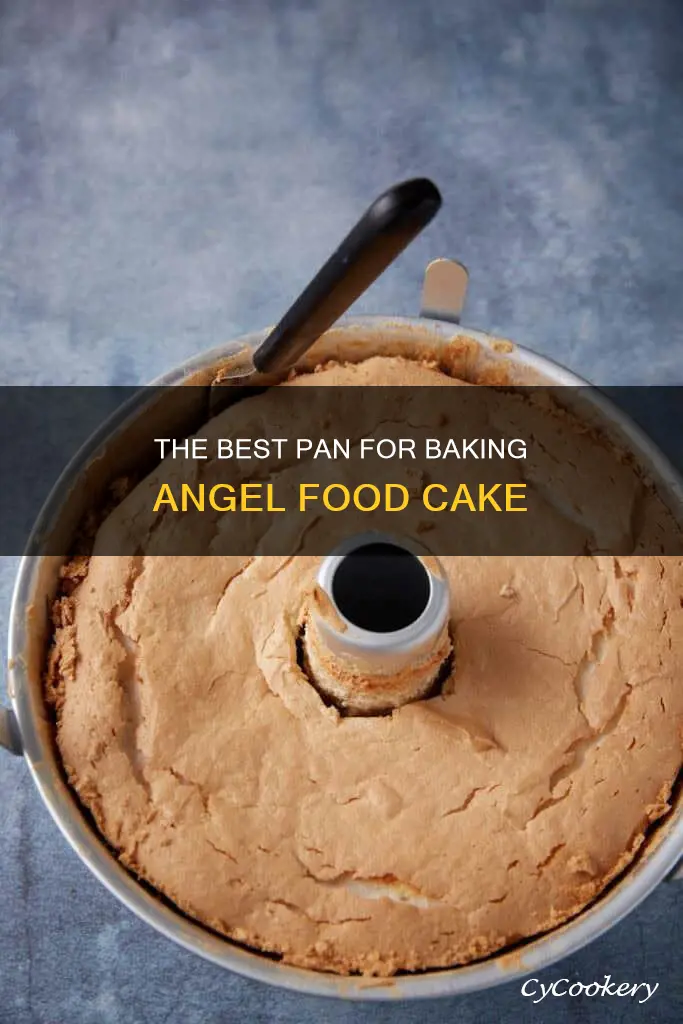 can you use bundt pan for angel food pan