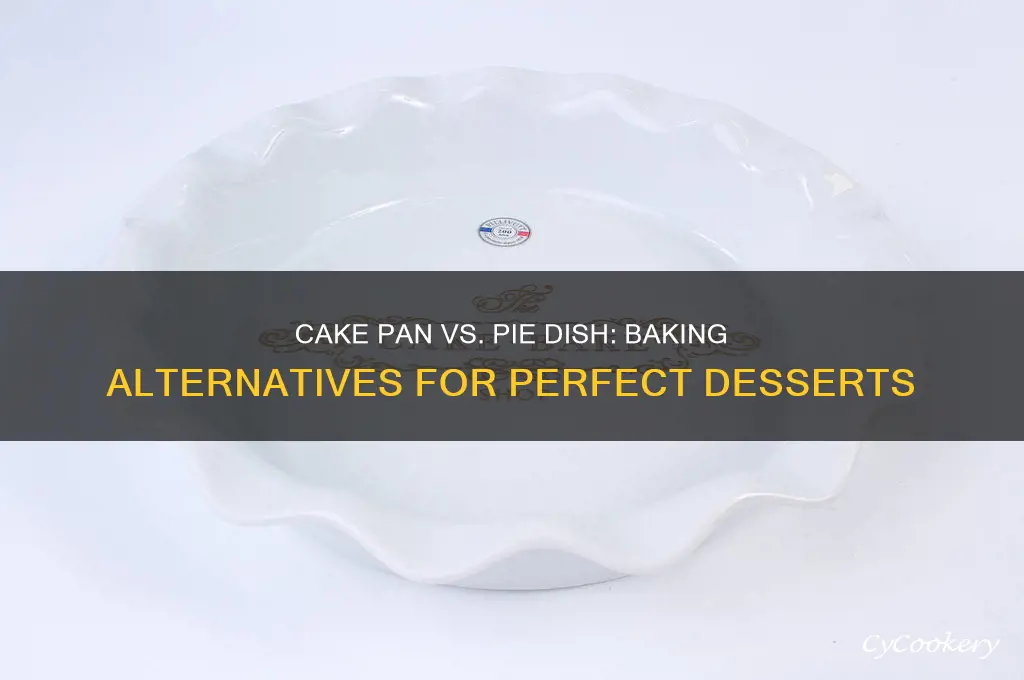 can you use cake pan instead of pie dish