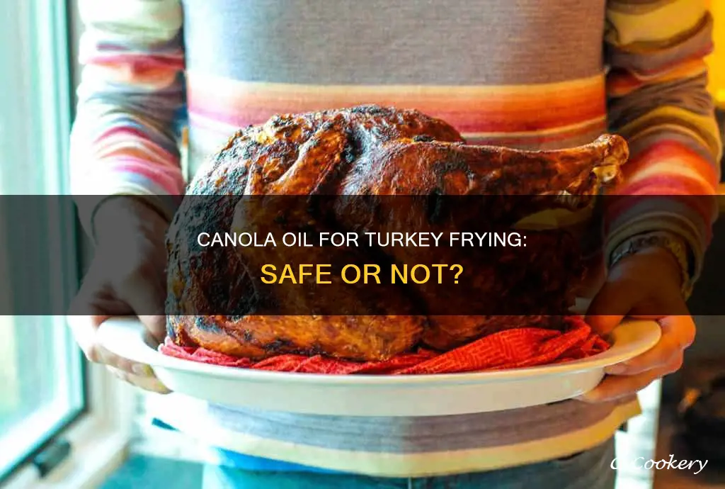 can you use canola oil in a turkey fryer