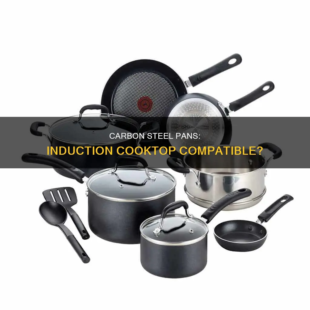 can you use carbon steel pans on induction cooktop