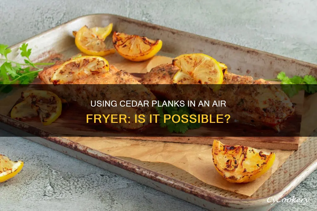 can you use cedar planks in an air fryer