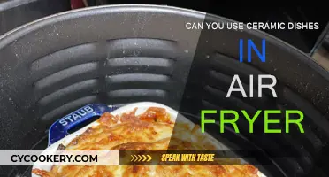 Ceramic Dishes in Air Fryers: Safe or Not?