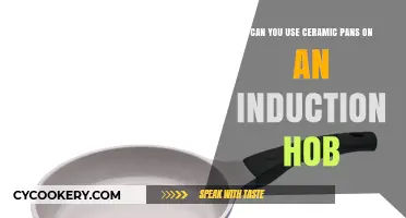 Induction Hob and Ceramic Pans: What's the Verdict?