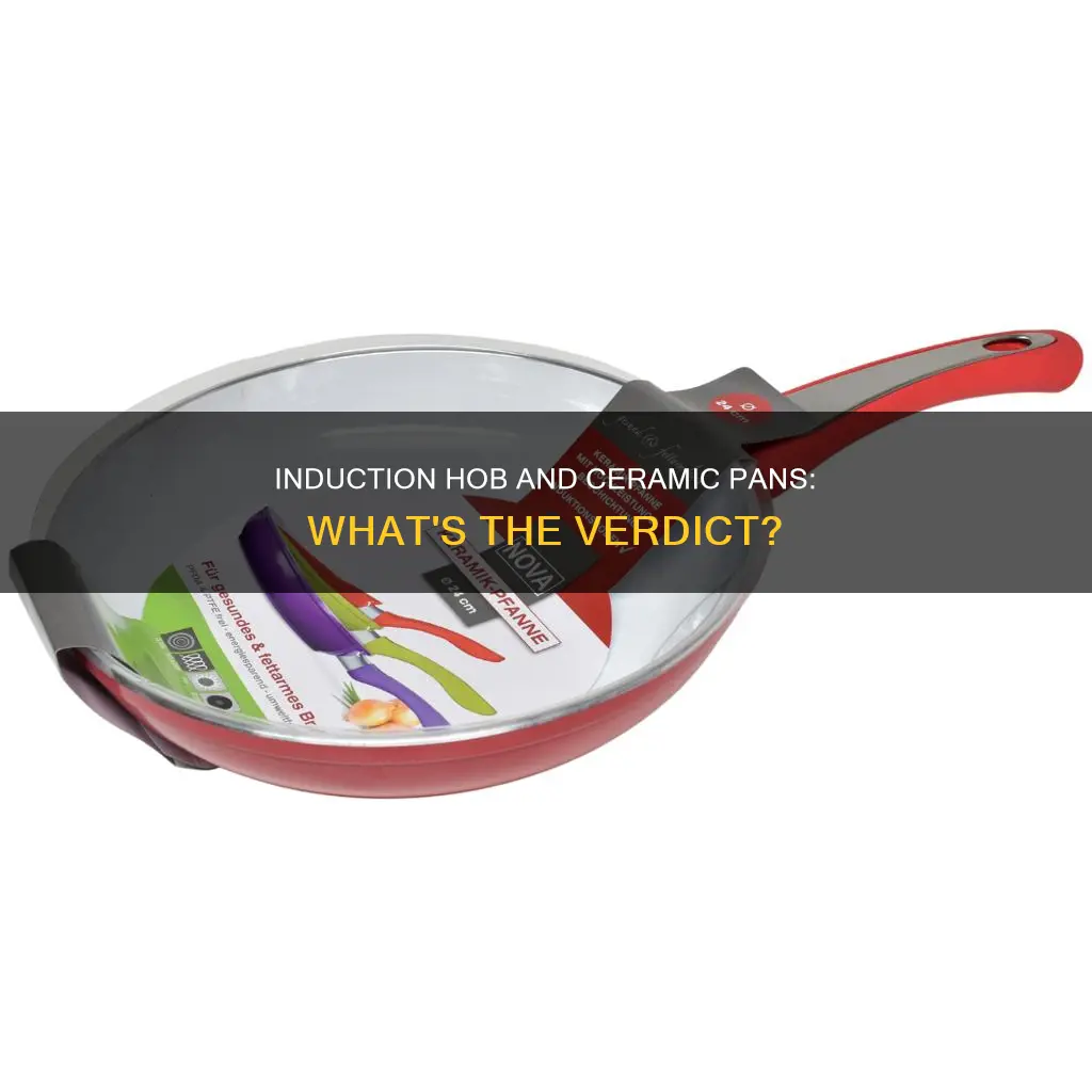 can you use ceramic pans on an induction hob