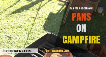 Campfire Cooking: Ceramic Pans, Safe or Not?