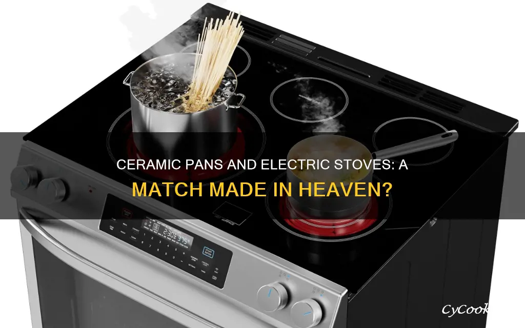 can you use ceramic pans on electric stove