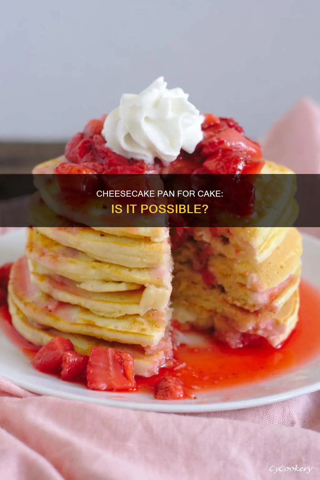 can you use cheesecake pan to make cake