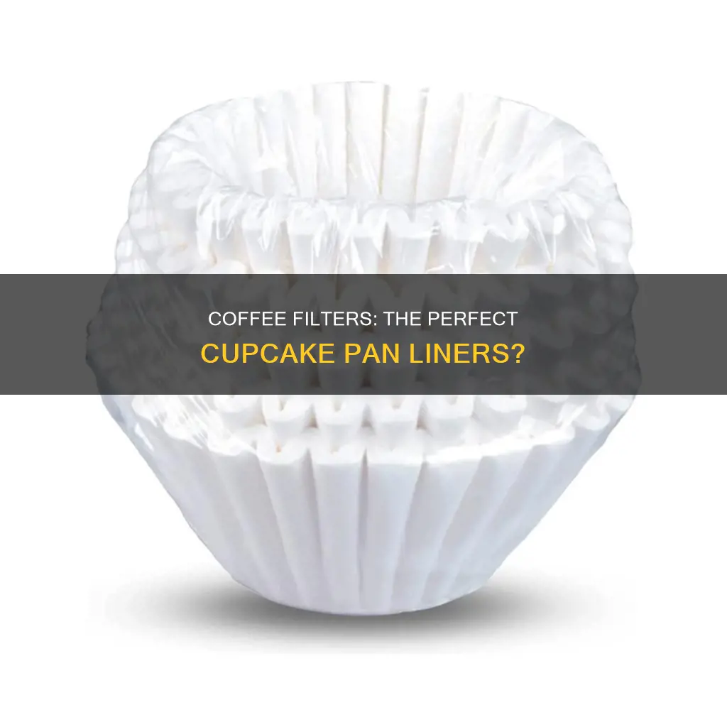 can you use coffee filters in your cup cake pan