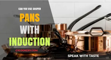 Induction Cooking and Copper Pans: Are They Compatible?