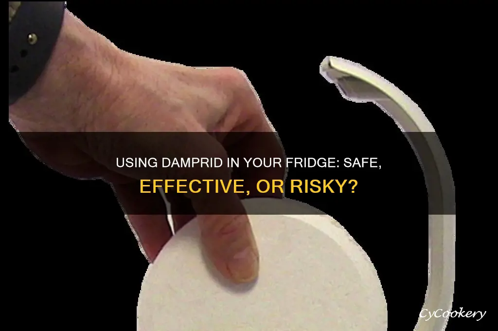can you use damprid in the refrigerator