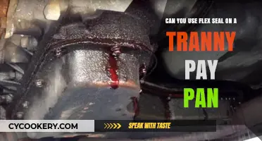 Flex Seal: A Transmission Pan Quick Fix?