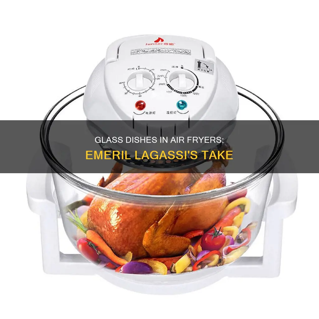 can you use glass dishes in emerial lagassi air fryer