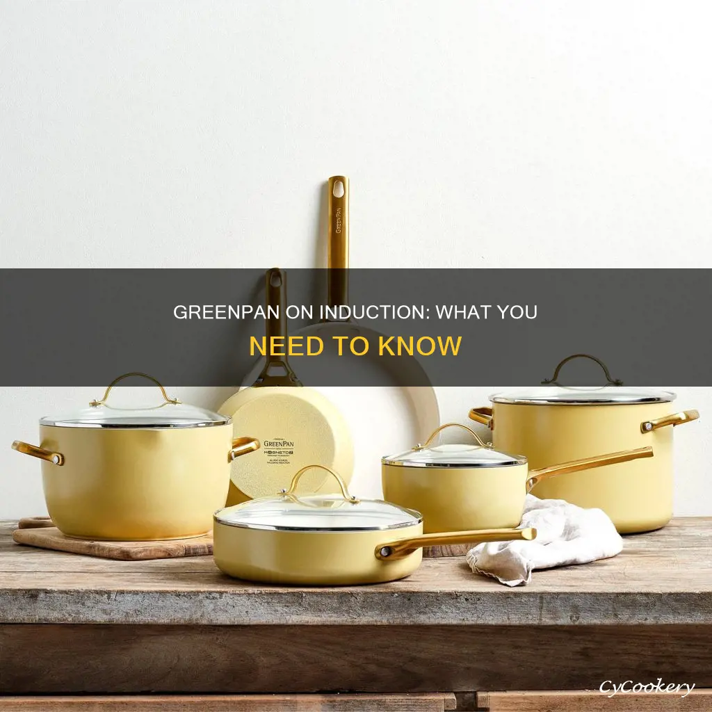 can you use green pan on induction