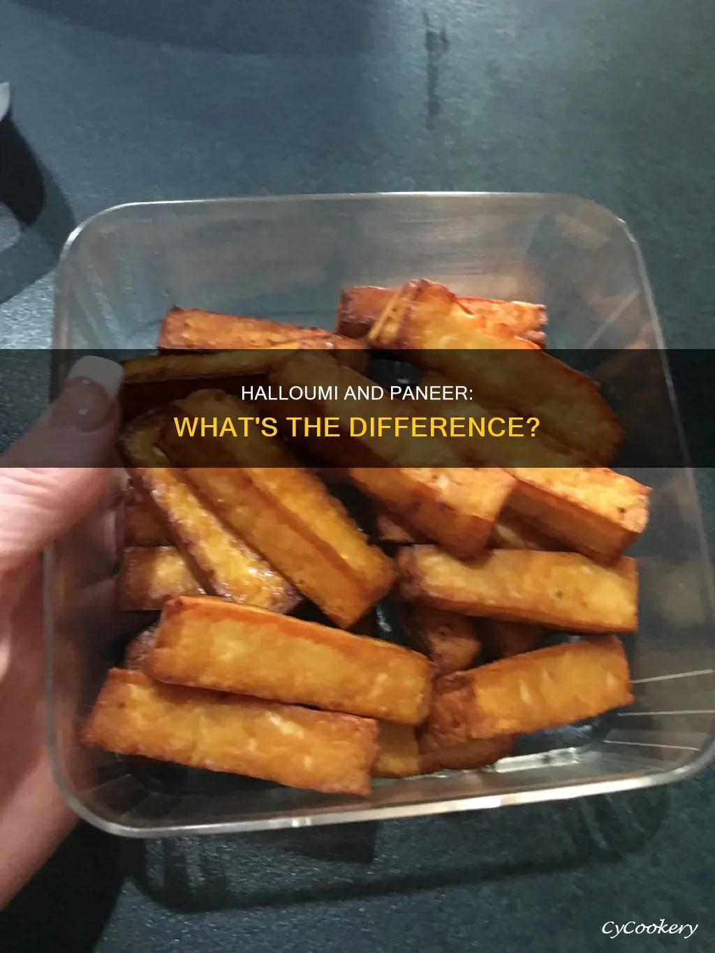 can you use halloumi for paneer