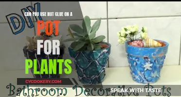 Hot Glue and Houseplants: A Creative Way to Secure Your Green Friends