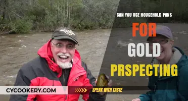 Panning for Gold: Can Your Household Pans Work?
