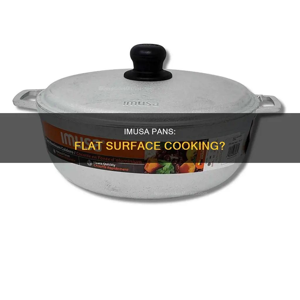 can you use imusa pans on flt surface