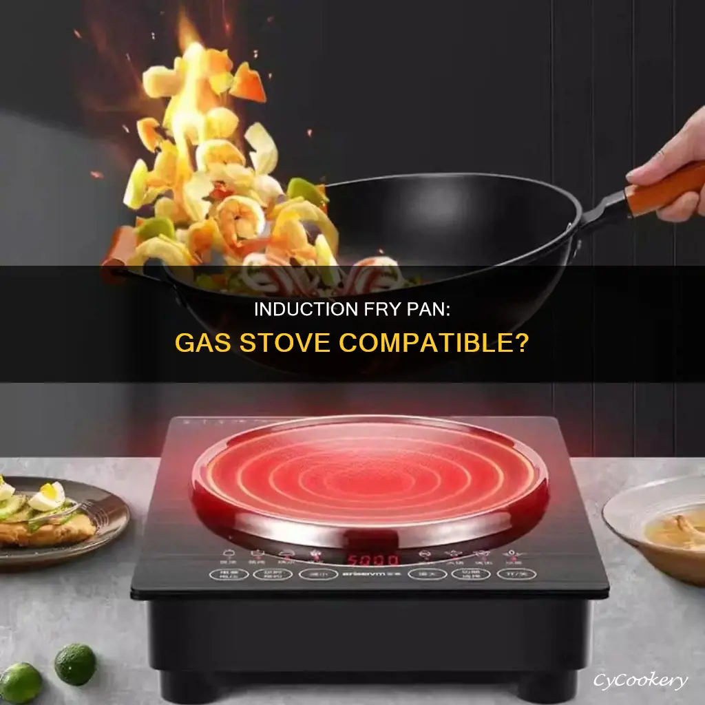 can you use induction fry pan on gas stove