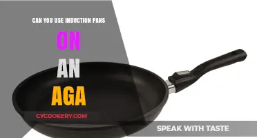 Induction Pans and AGAs: Are They Compatible?