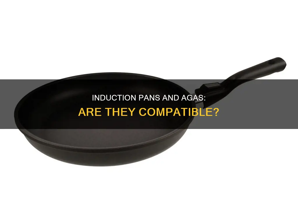can you use induction pans on an aga