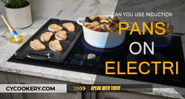 Induction Pans: Electric Stove Compatible?