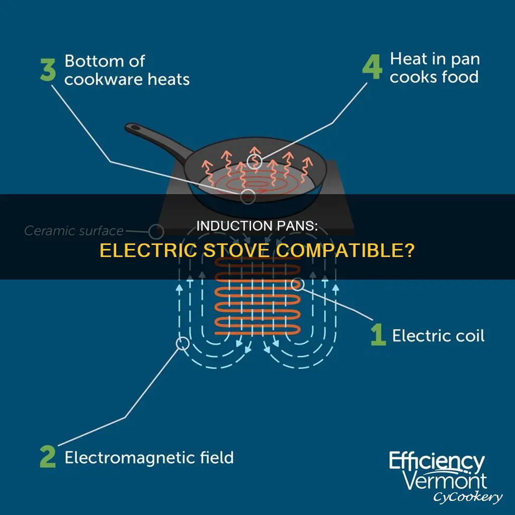can you use induction pans on electric