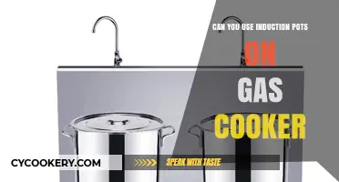 Induction Pots on Gas Cookers: What You Need to Know