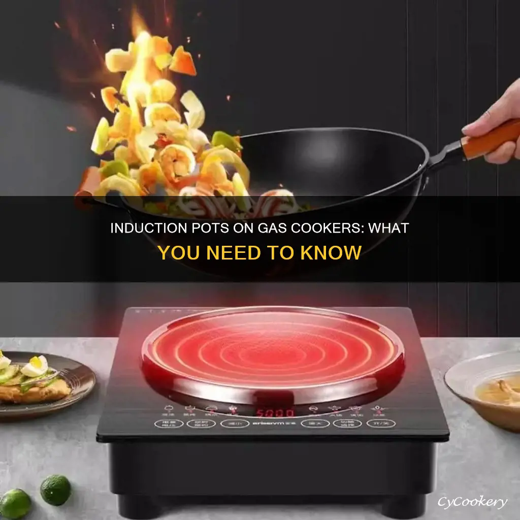 can you use induction pots on gas cooker