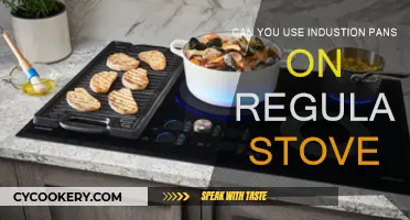 Induction Pans: Compatible with Regular Stoves?