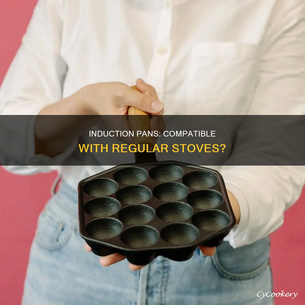 can you use industion pans on regular stove