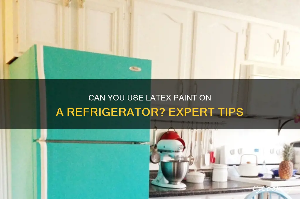 can you use latex paint on refrigerator