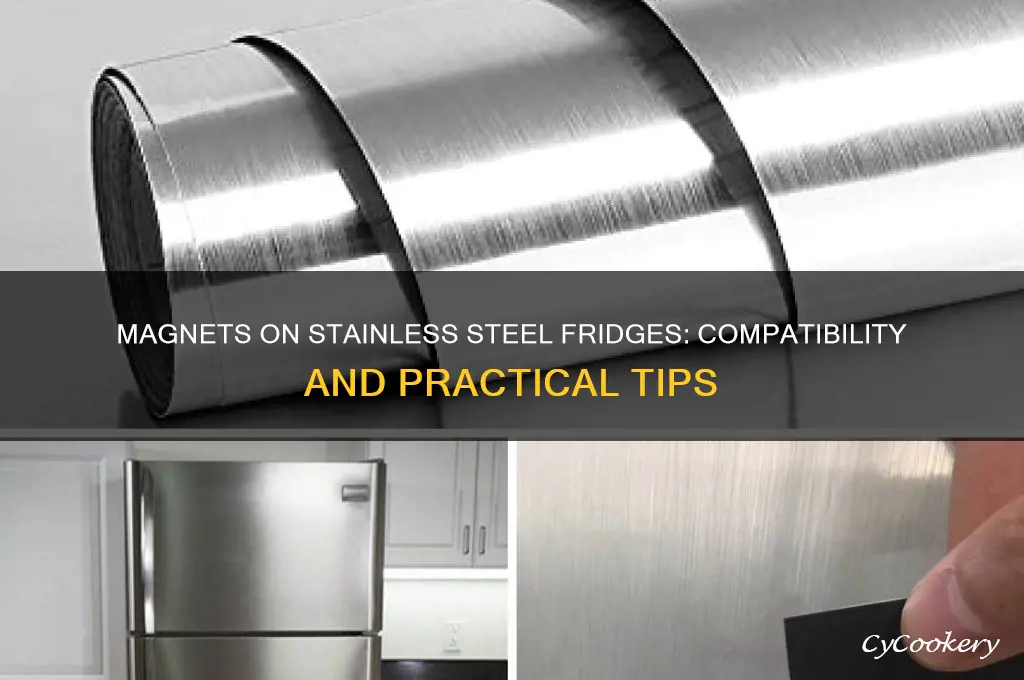 can you use magnets on a stainless steel refrigerator