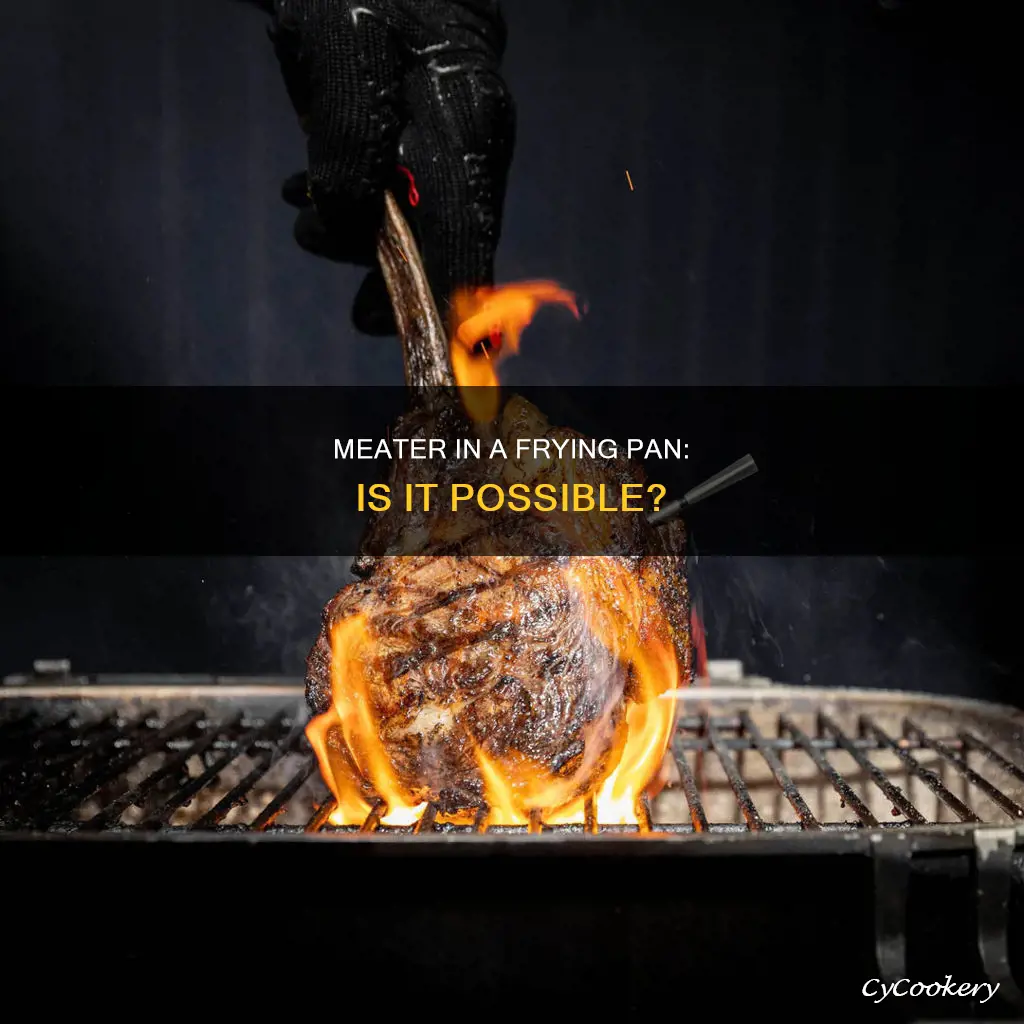 can you use meater in a frying pan