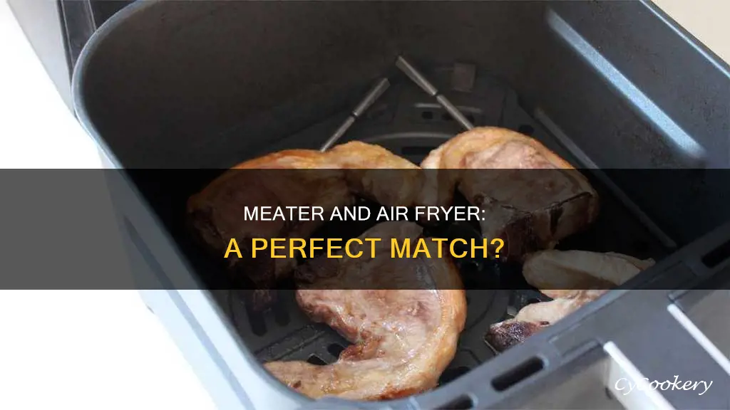 can you use meater in air fryer