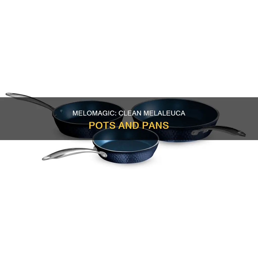 can you use melomagic for melaleuca on pots and pans
