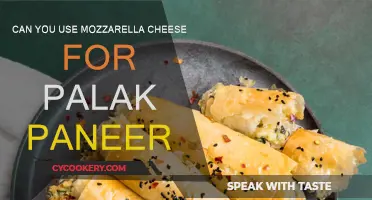 Mozzarella Spin on Palak Paneer: A Tasty Twist?