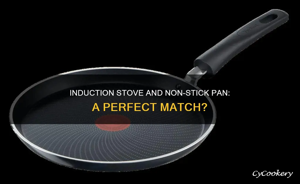can you use non stick pan on induction stove