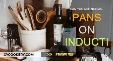 Induction Cooking: Do You Need Special Pans?