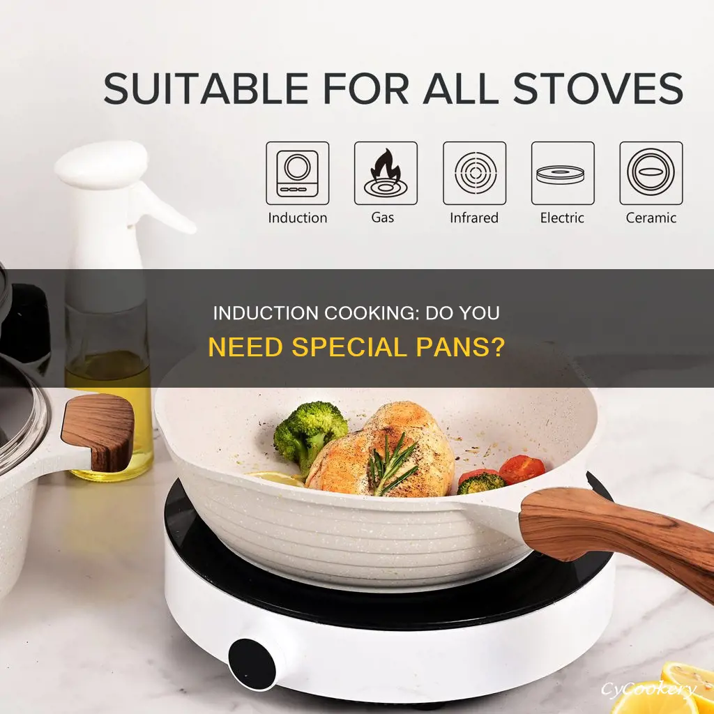 can you use normal pans on induction