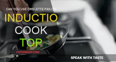 Induction Cooking: Omelette Pan, Yay or Nay?
